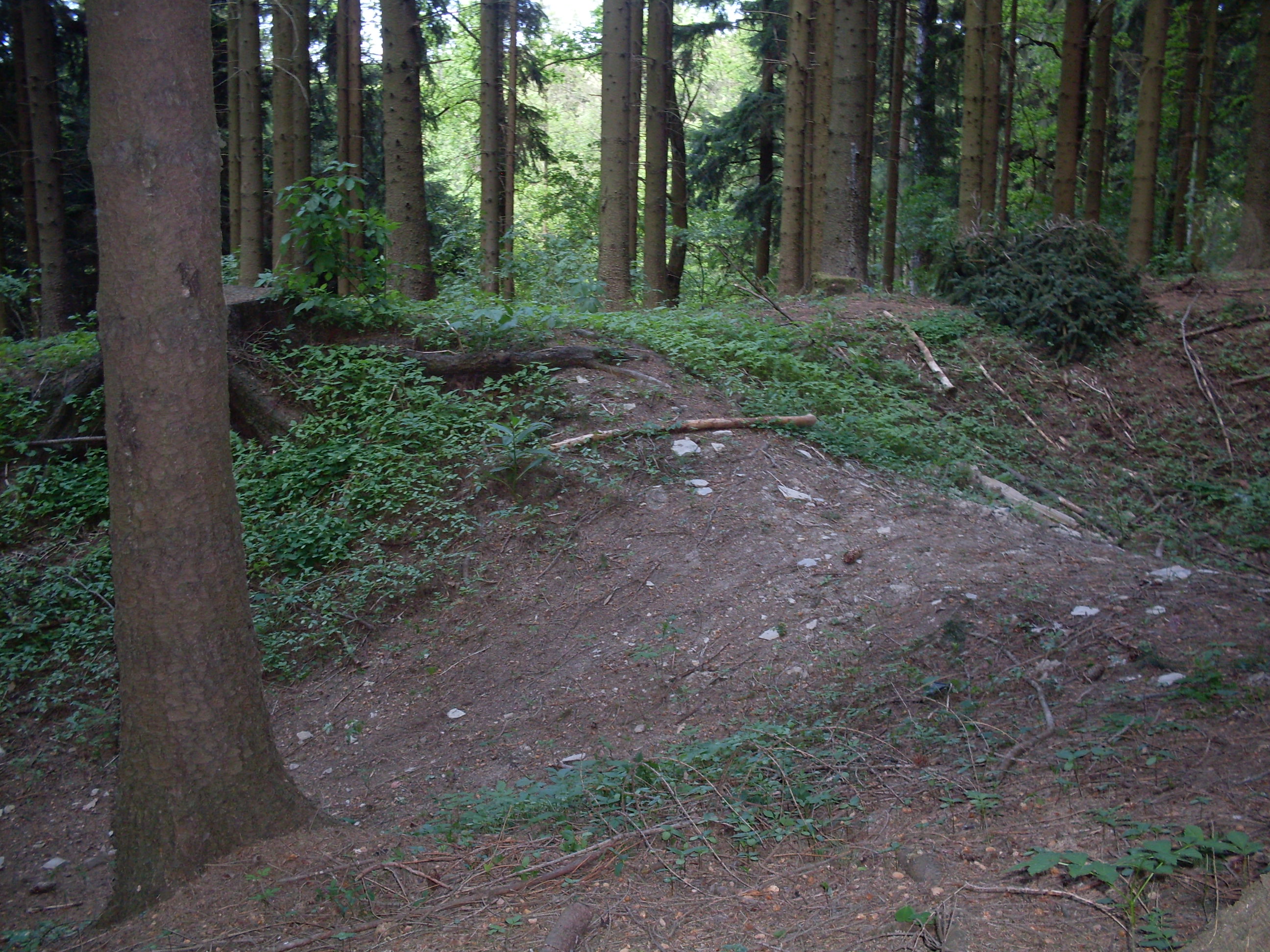 SDC11213.JPG